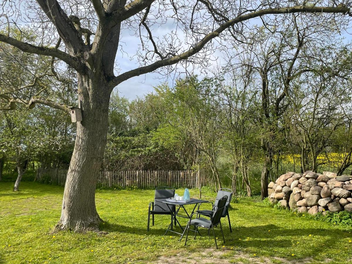 Kleines Haus Am Feld Holiday home Rehna