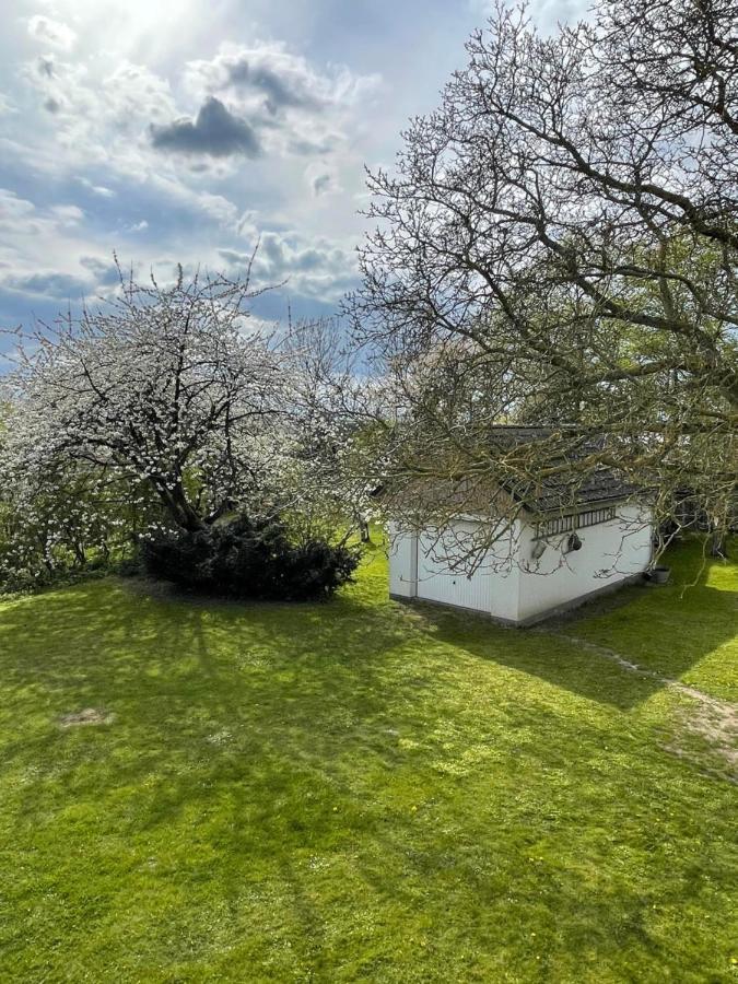 Holiday home Kleines Haus Am Feld