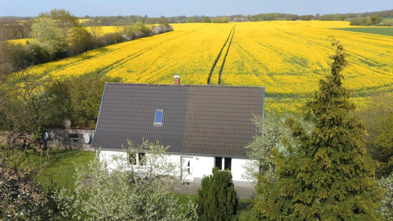 Kleines Haus Am Feld Rehna